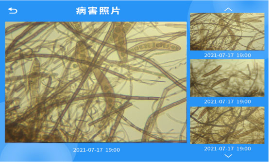 智能孢子捕捉儀解決方案